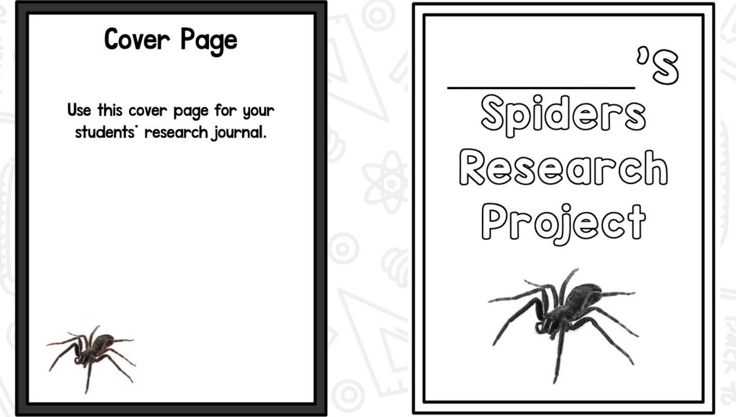 Spiders Reading Writing & Science Activities for Kindergarten