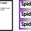 Spiders Reading Writing & Science Activities for Kindergarten