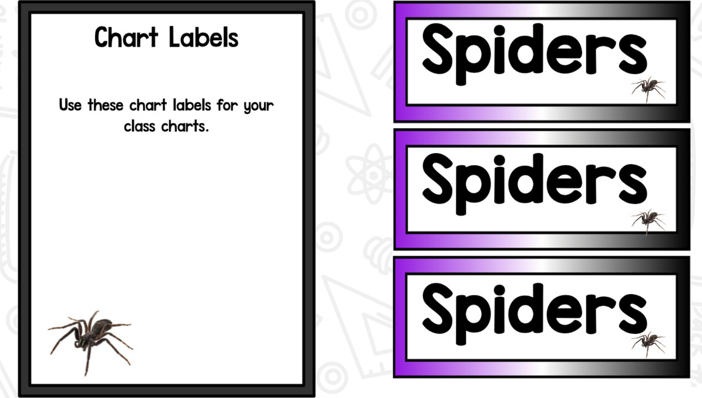 Spiders Reading Writing & Science Activities for Kindergarten