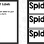 Spiders: A Research and Writing Project PLUS Centers!