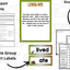 Dinosaur Research Project