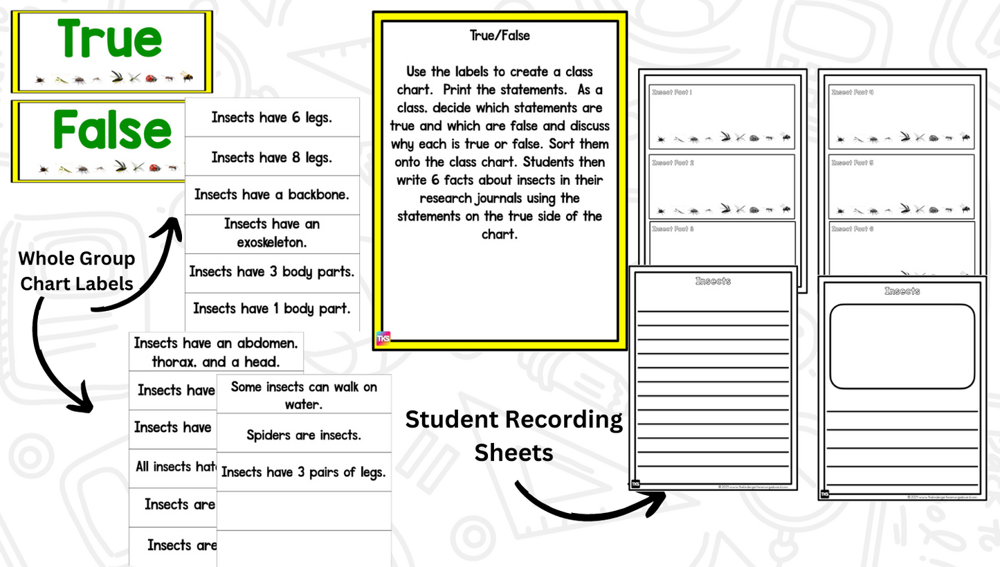 Insects: A Research and Writing Project PLUS Centers!