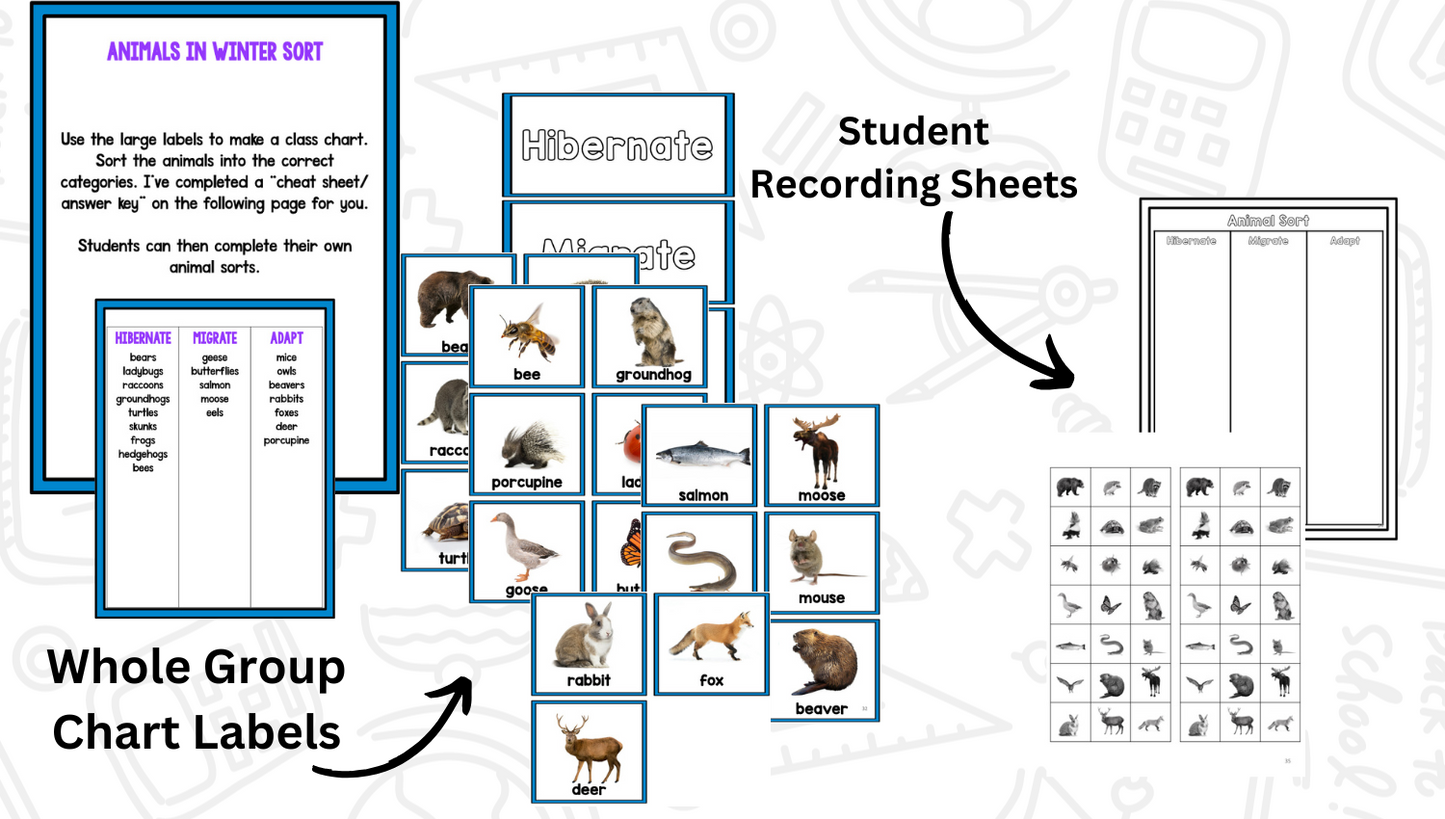 Animals In Winter Research Project