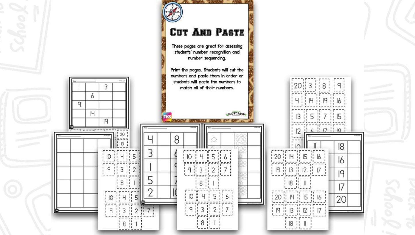 Number Bootcamp: Numbers and Counting 1-20 (Safari Theme)