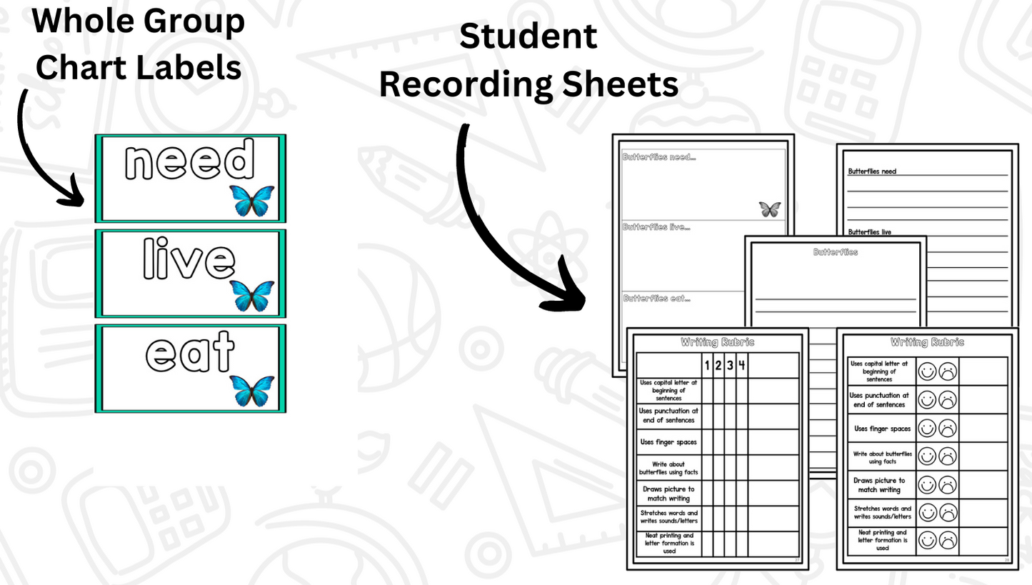 Butterflies: A Research and Writing Project