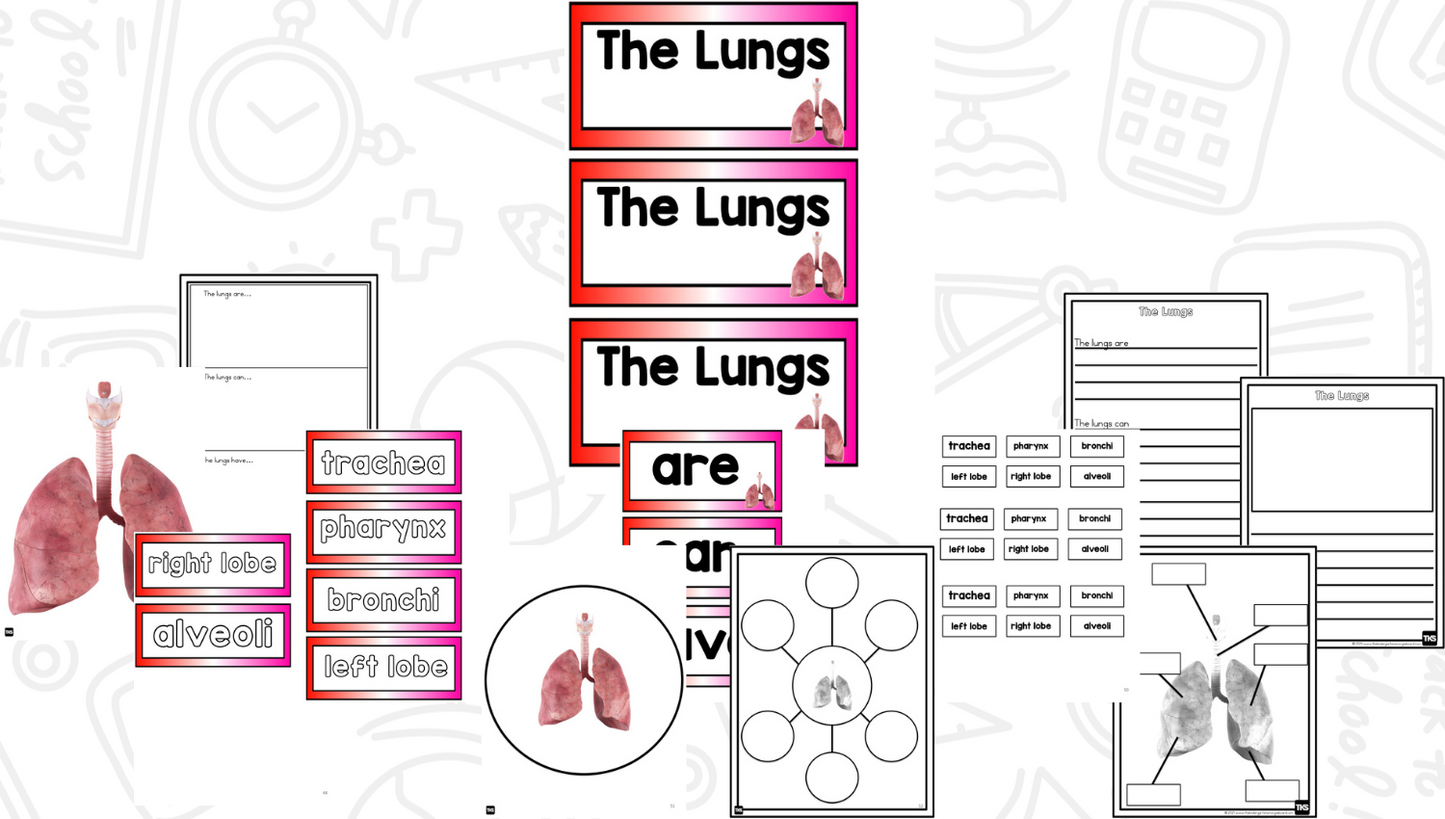 Human Body: A Research and Writing Project PLUS Centers!