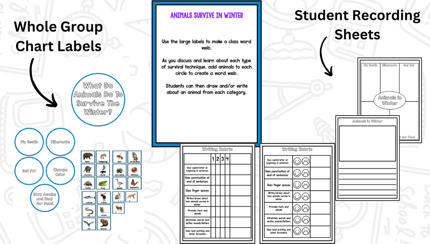 Animals In Winter Research Project