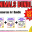 Animals Bundle - Limited Time Only