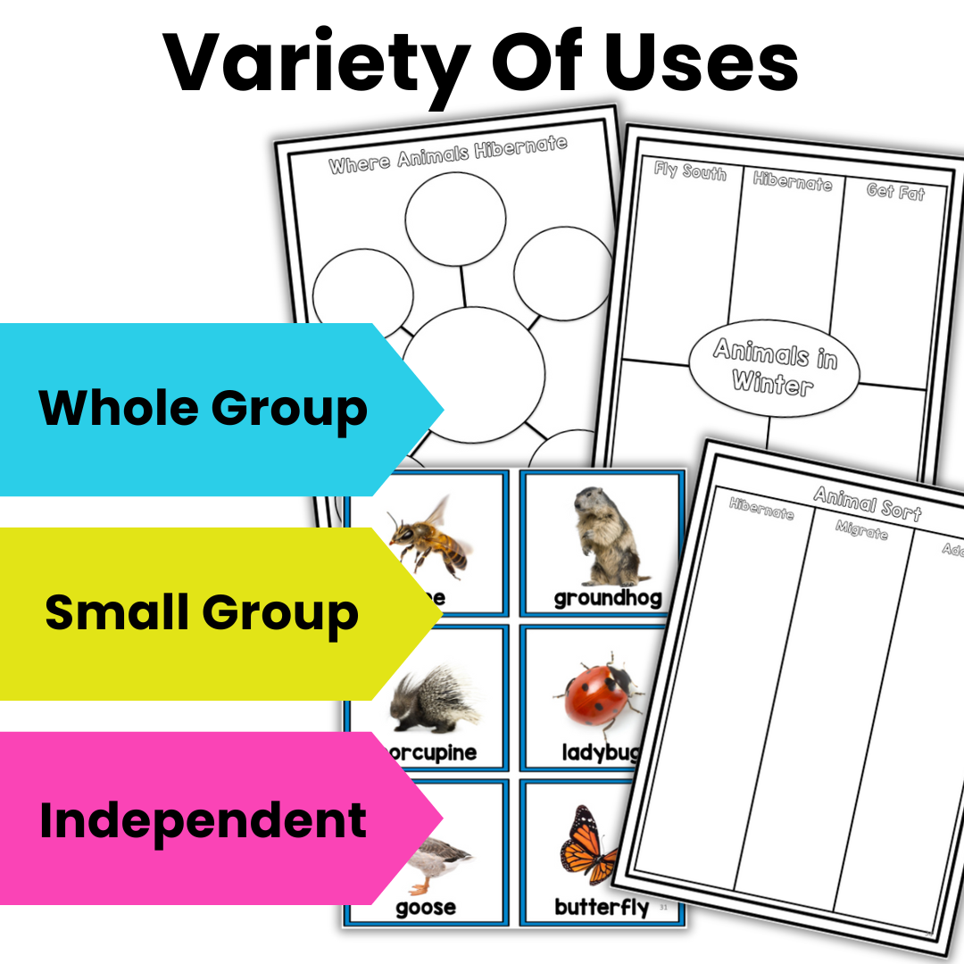 Animals In Winter Research Project