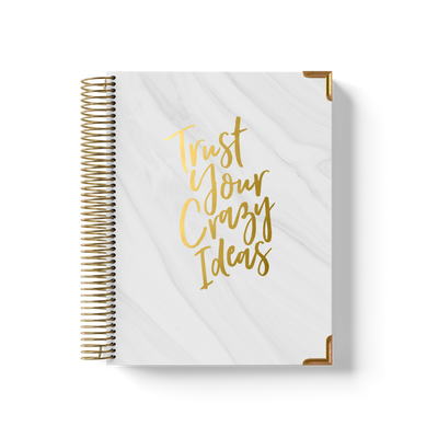 Crazy Ideas Teacher Planner by BERTEAU & Co.