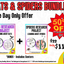 Bats & Spiders ONE DAY ONLY Bundle
