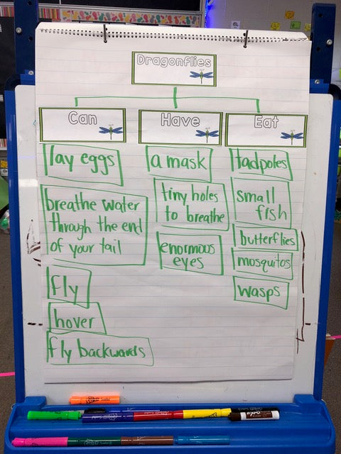 Insects: A Research and Writing Project PLUS Centers!