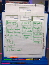 Insects: A Research and Writing Project PLUS Centers!