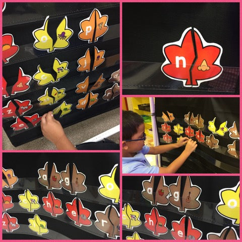 Leaf Puzzles: Letters, Sounds, Numbers, and Counting