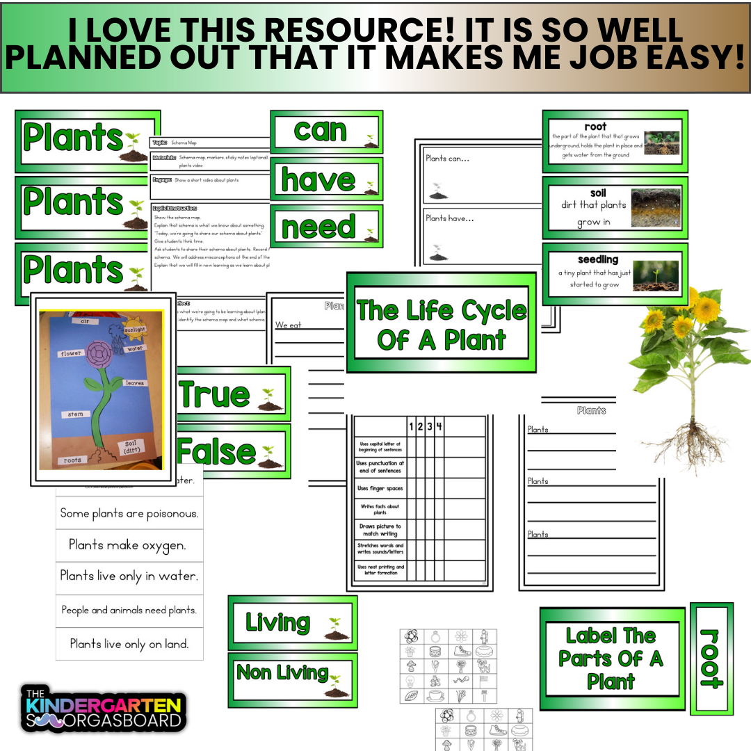 Plants Kindergarten | Plant Life Cycle | Plants Unit