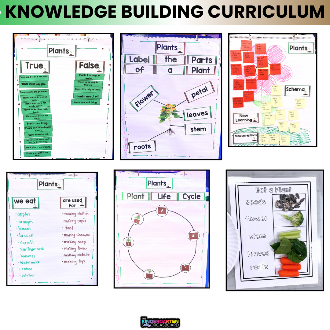 Plants Kindergarten | Plant Life Cycle | Plants Unit