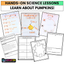 All About Pumpkins: Science And Pumpkin Activities