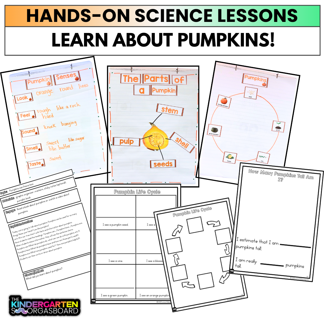 All About Pumpkins: Science And Pumpkin Activities