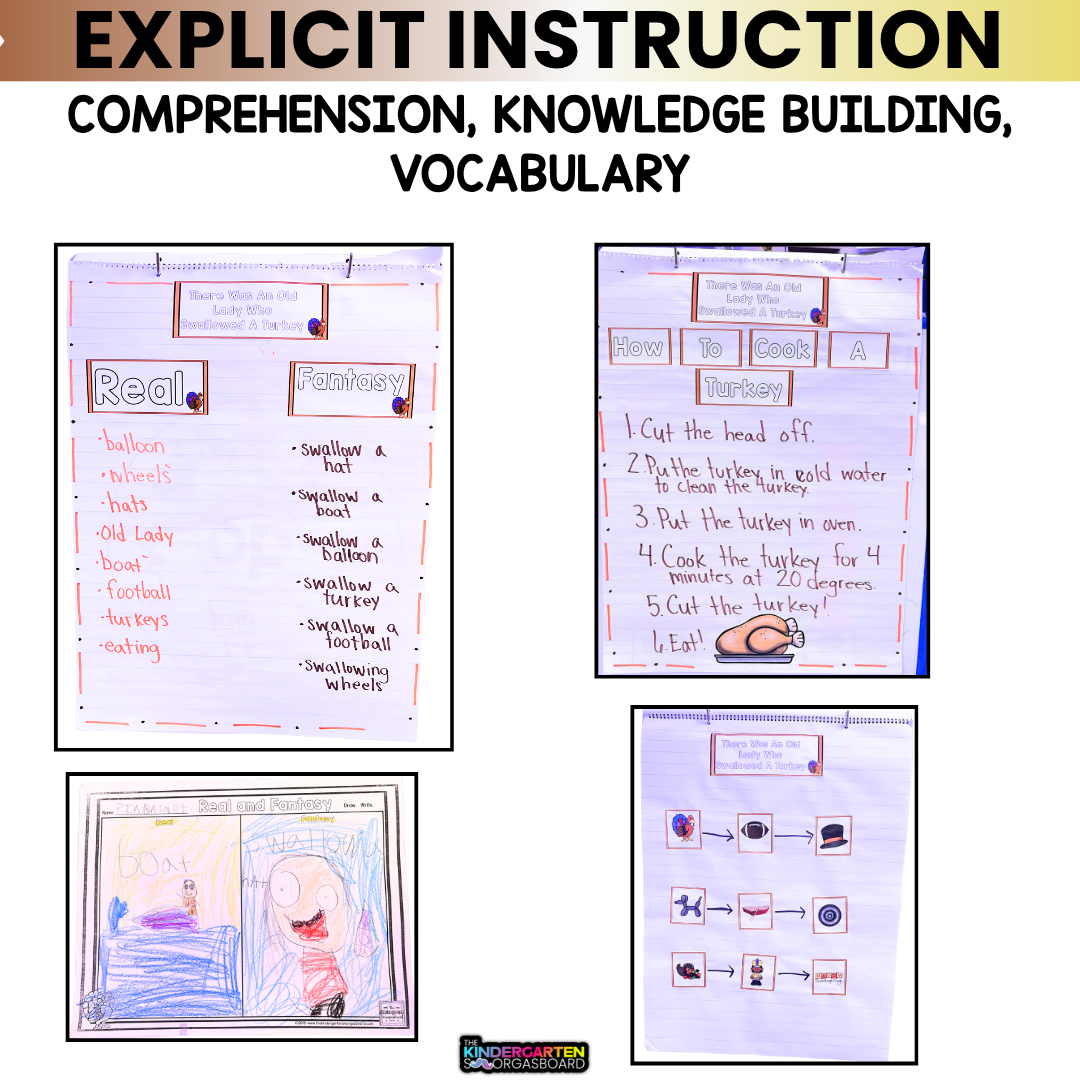 There Was An Old Lady Who Swallowed A Turkey Activities