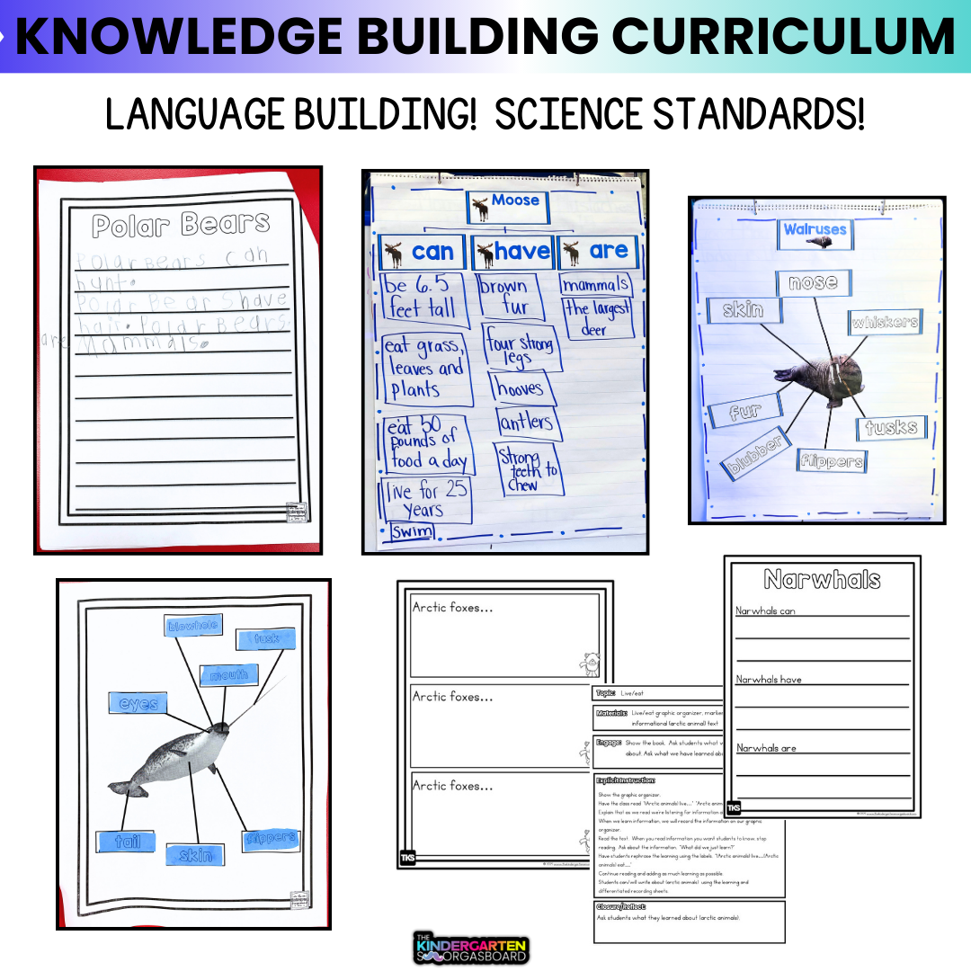 Arctic Animals And Polar Animals Research & Writing Activities
