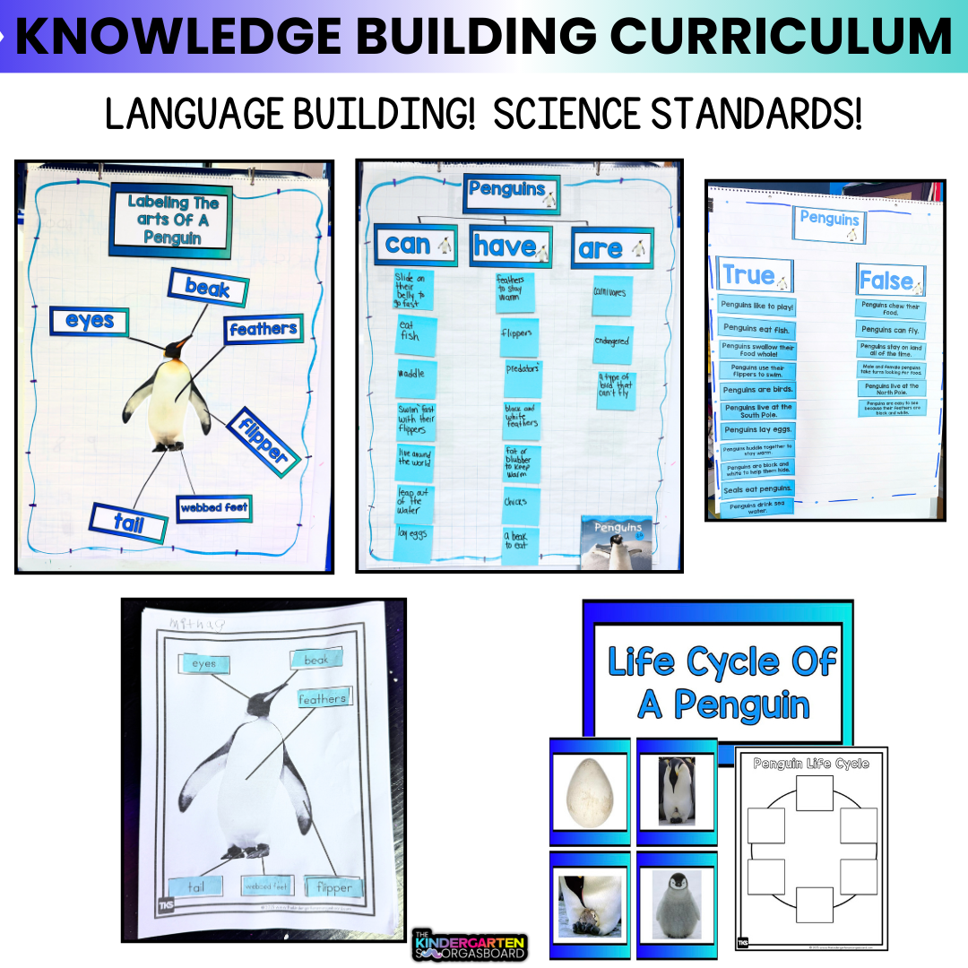 Penguins And Penguin Science Activities for Kindergarten & 1st Grade