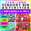Sensory Bin Activities