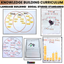 Thanksgiving Activities for Kindergarten & 1st Grade | Social Studies Unit