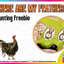 Where Are My Feathers? Counting Center