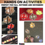 Leaf Puzzles: Letters, Sounds, Numbers, and Counting
