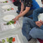 Plants Kindergarten | Plant Life Cycle | Plants Unit