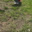 Earth Day: Earth Day Activities l Recycling Sort l Nature Hike l Centers
