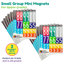 Small Group Mini Magnets Bundle