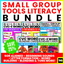 Small Group Literacy Bundle