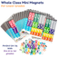 Whole Class Mini Magnets Bundle