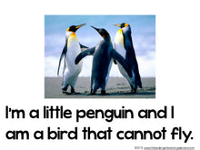I'm a Little Penguin Emergent Reader