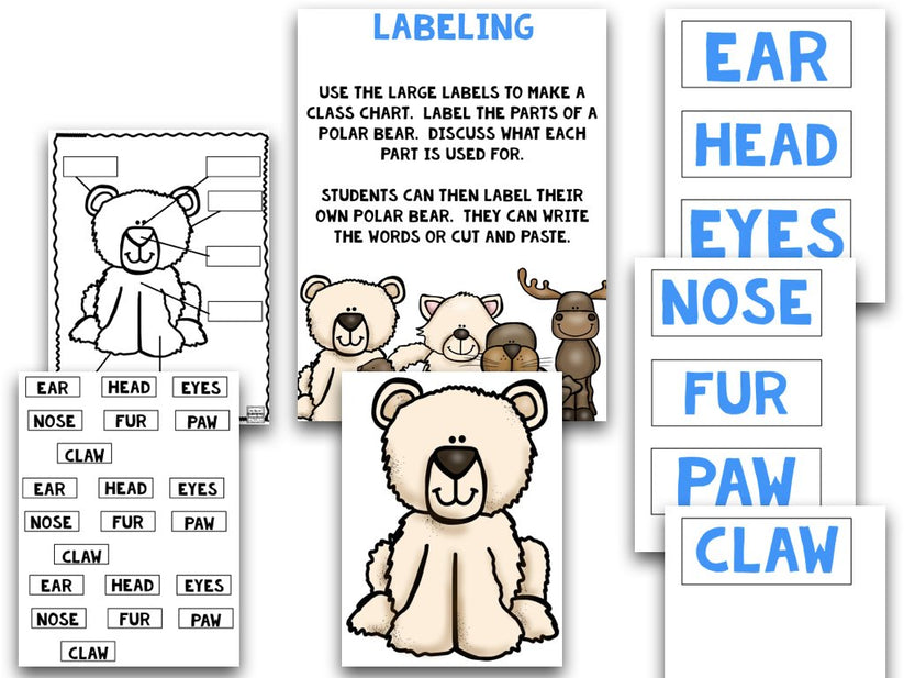 Arctic Animals: A Research and Writing Project PLUS Centers! – The ...