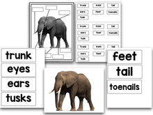 Zoo Animals: A Research and Writing Project PLUS Centers!