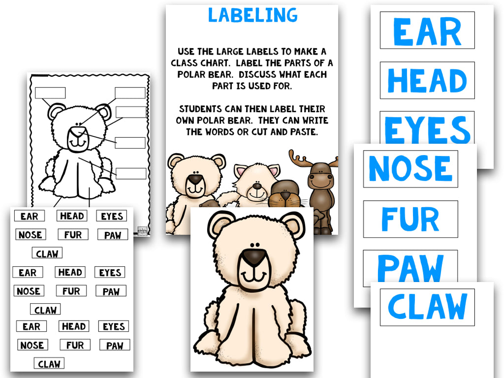 Arctic Animals: A Research and Writing Project WITHOUT Centers!