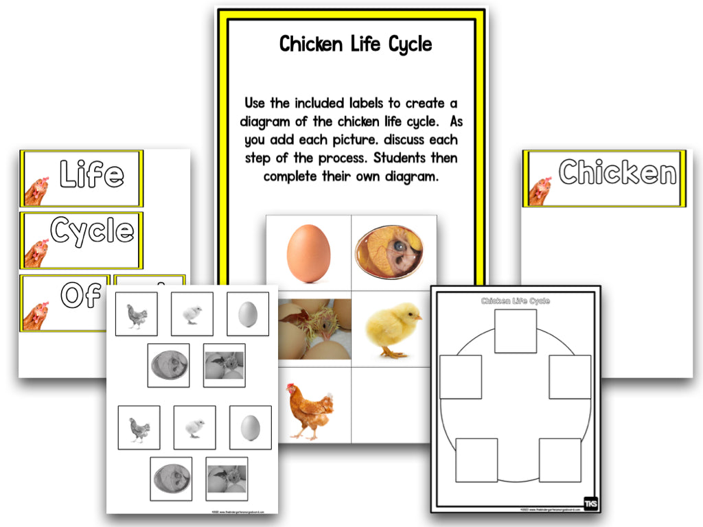 Chickens: A Research And Writing Project