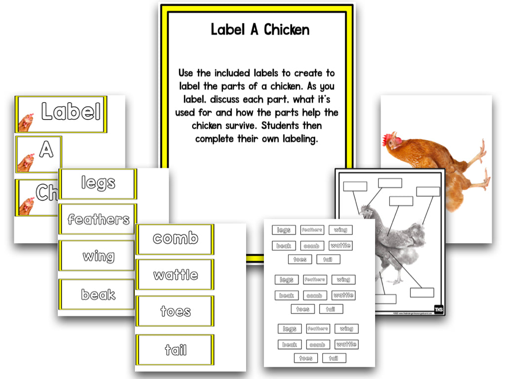 Chickens: A Research And Writing Project