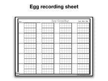 Egg Numbers and Counting