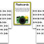 FLASH!: Addition and Subtraction Fluency
