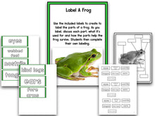 Frogs Research Project