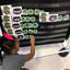Leprechaun's Shamrock Editable Sight Words