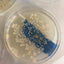 Student Scientists In The Classroom: Set 2 - 11 Hands-On Science Experiments