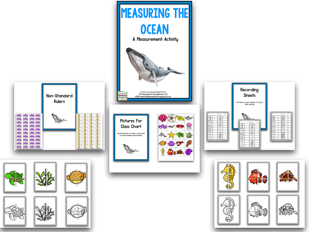 Bundle of Measurement
