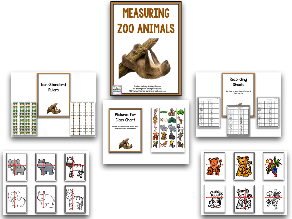 Bundle of Measurement