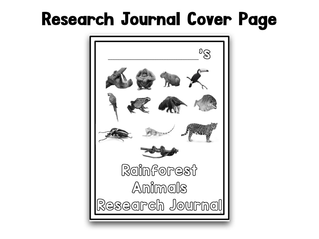 Rainforest Animals Research Project