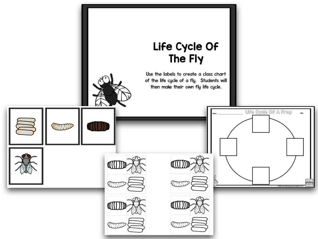 Read It Up! There Was an Old Lady Who Swallowed a Fly