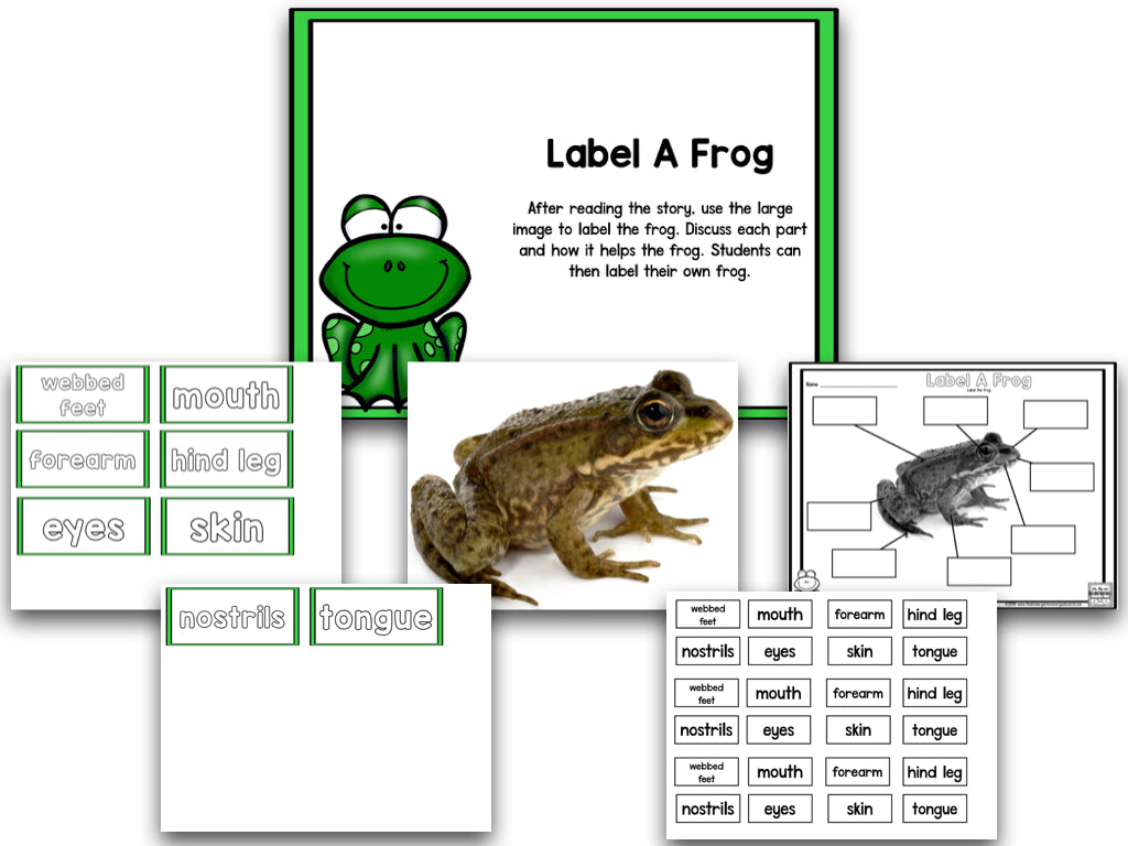 Read It Up! There Was An Old Lady Who Swallowed A Frog
